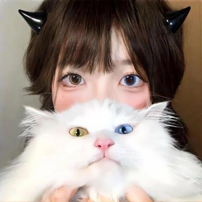 龙城谜案