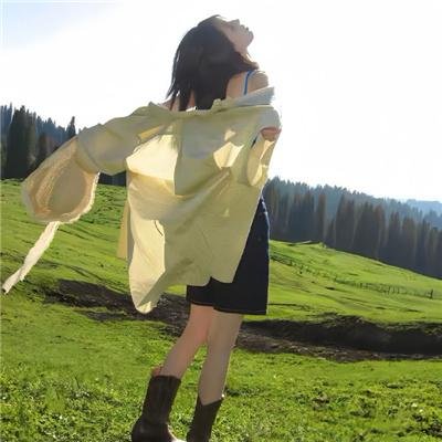 101朵玫瑰
