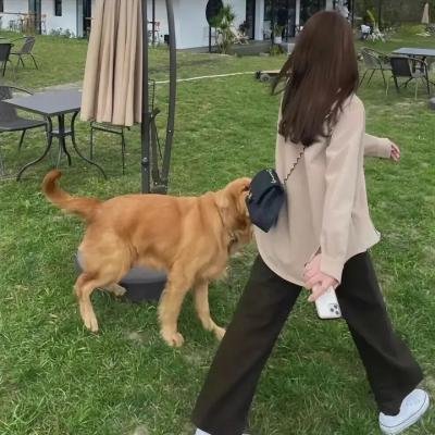 罪案终结第六季